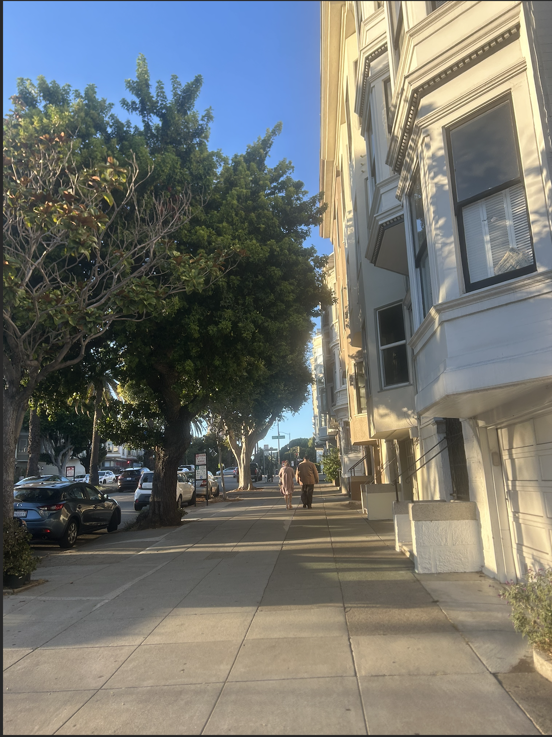 Close-up wide angle view showing natural depth